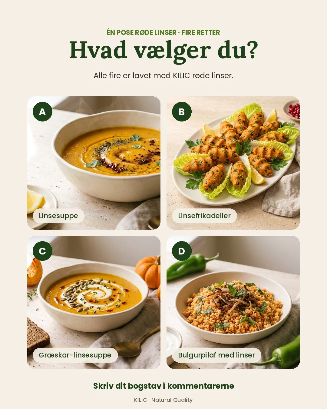 Hvad skal vi lave i dag?